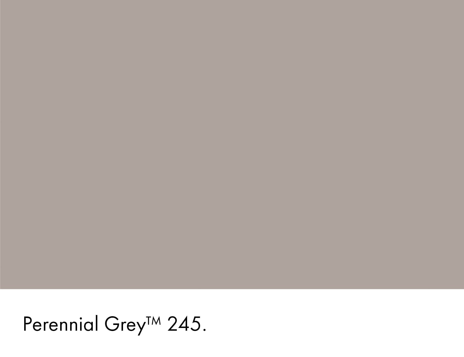 Perennial Grey