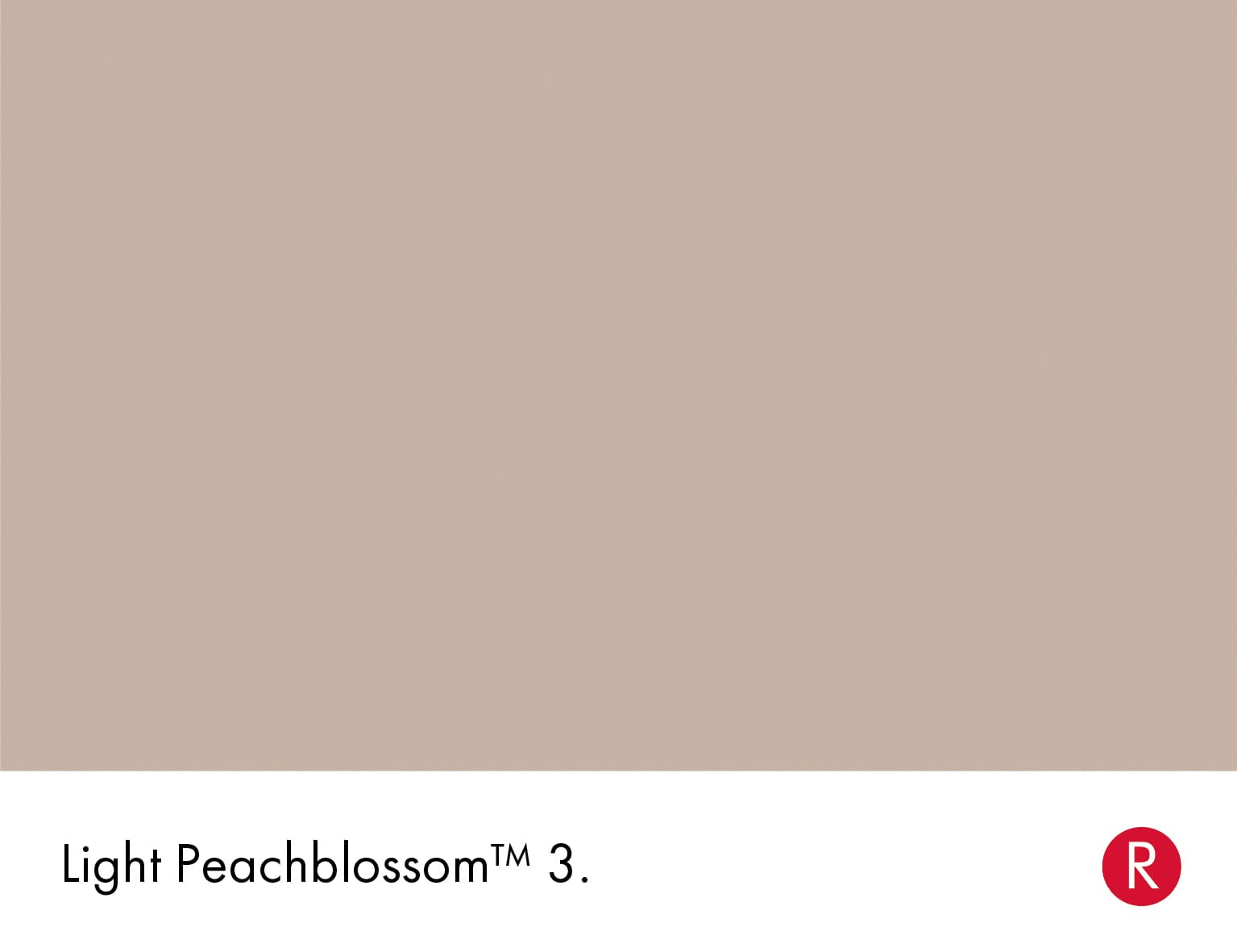 Light Peachblossom